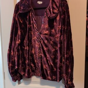 The Keira Collared Button-Front Blouse by Pilcro: Long-Sleeve Velvet Edition